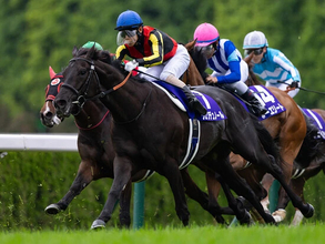 【競馬予想】天皇賞・秋で勝つのはどっちだ！　令和の頂上決戦「クロワデュノールvsマスカレードボール」