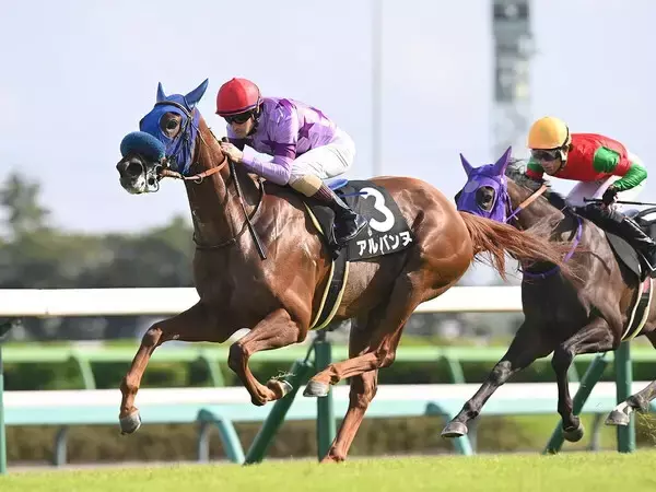 【競馬予想】阪神JFで注目したい血統は？　重賞勝ち馬ナシのレースでニュースターになりそうな２頭をピックアップ