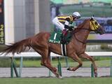 「【競馬予想】「２強」が中心のヴィクトリアマイル　展開次第で一発が見込める３頭の穴馬候補」の画像1