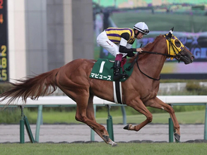 【競馬予想】「２強」が中心のヴィクトリアマイル　展開次第で一発が見込める３頭の穴馬候補