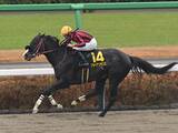 「【競馬予想】今年最初のＧⅠ、フェブラリーＳで注目すべき血統は？　レースと相性がよさそうな２頭に期待」の画像1