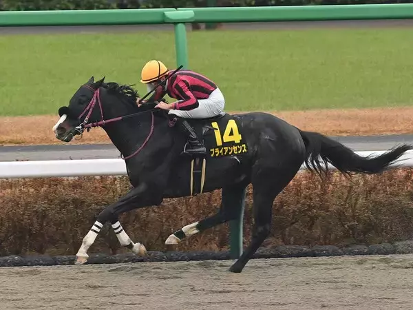 【競馬予想】今年最初のＧⅠ、フェブラリーＳで注目すべき血統は？　レースと相性がよさそうな２頭に期待