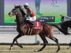 【競馬予想】AJCCも明け４歳馬が優勢　不気味なのはここに照準を合わせてきた「いぶし銀」
