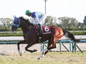 【競馬予想】朝日杯FS、ホープフルＳの勝ち馬は？　そのヒントが隠されている「２歳牡馬ランキング」