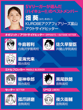 【ハイキュー‼×SVリーグ】畑葵が選んだベストメンバーはバレーIQ高め　胸に刺さった田中龍之介の名言も語った