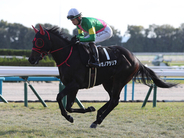 【競馬予想】朝日杯FSは有力５頭が中心も、馬場次第で大駆けが期待できる穴馬が２頭いる