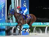 「【競馬予想】ＧＩチャンピオンズカップで人気の３歳馬　ナルカミとルクソールカフェはどっちが強いのか」の画像1