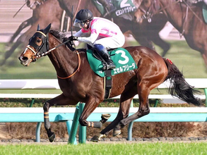 【競馬予想】コース適性とタフさが求められるオールカマー　あえてこの舞台を選択した牝馬に大駆けの予感
