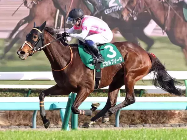 【競馬予想】コース適性とタフさが求められるオールカマー　あえてこの舞台を選択した牝馬に大駆けの予感
