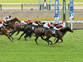 東京新聞杯は人気の盲点となっている「上がり馬」と「反撃ある実力馬」に注意せよ