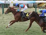 「【競馬予想】混戦模様の桜花賞で、抜け出しそうな血統を持つ馬は？　牝系と配合に魅力がある２頭に注目」の画像1