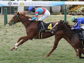 【競馬予想】混戦模様の桜花賞で、抜け出しそうな血統を持つ馬は？　牝系と配合に魅力がある２頭に注目