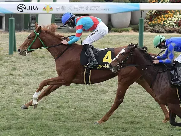 【競馬予想】混戦模様の桜花賞で、抜け出しそうな血統を持つ馬は？　牝系と配合に魅力がある２頭に注目
