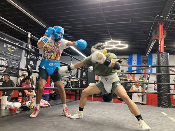 【密着取材】中谷潤人がLAキャンプを終了　井上尚弥が待つスーパーバンタム級での初戦に向け、カルデナスと99ラウンドのスパー