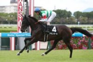 【競馬予想】ＧＩ阪神JFの行方も見える!?　識者設定の「２歳牝馬ランキング」上位２頭は？