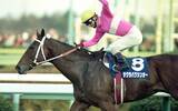 「『ウマ娘』でも自慢のスピードで躍動　日本競馬屈指のスプリンター、サクラバクシンオーが最後に見せた異次元のばく進」の画像1