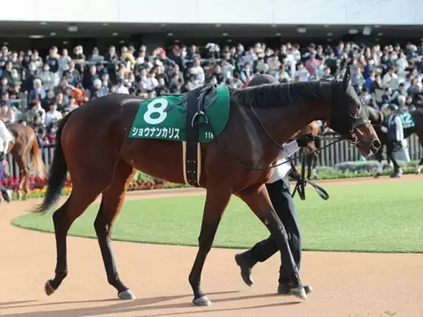【競馬予想】波乱ムードが充満している阪神JF　穴党記者が密かに一発を期待している人気薄２頭