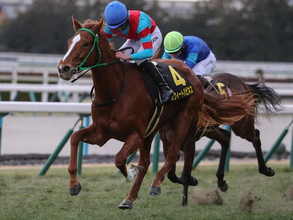 【競馬予想】識者選定の「３歳牝馬ランキング」　クラシックを目前にして新勢力の台頭はあったのか