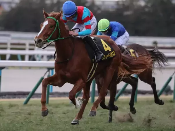 【競馬予想】識者選定の「３歳牝馬ランキング」　クラシックを目前にして新勢力の台頭はあったのか