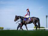 「【競馬予想】皐月賞を完勝したロブチェンは日本ダービーでも本当に「テッパン」と言えるのか」の画像1