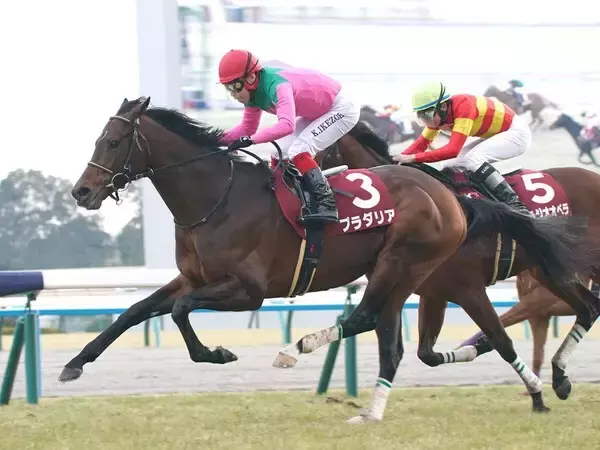 「大阪杯に強い「母の父クロフネ」の血　本格化した５歳牡馬とGⅠ牝馬が「祖父の誕生日」を勝利で祝うか」の画像