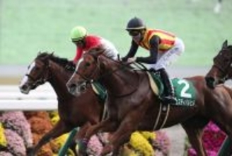 【競馬予想】ＧＩ阪神JFもひと筋縄ではいかない　稀に見る大混戦の「２歳牝馬ランキング」