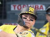 「【プロ野球】掛布雅之が語る「三冠王・佐藤輝明」誕生の可能性　森下翔太が好調な理由、立石正広の「気になる」点も指摘」の画像1