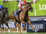 「【競馬予想】メイショウタバルが主導権を握る大阪杯で人気薄の台頭は微妙　勝ち負けが見込めるのは状態抜群の実力馬２頭」の画像1