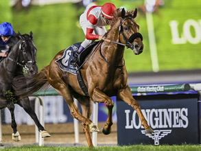 【競馬予想】メイショウタバルが主導権を握る大阪杯で人気薄の台頭は微妙　勝ち負けが見込めるのは状態抜群の実力馬２頭