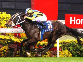 『ウマ娘』でもついに実装された異端児　名手の度肝を抜いて引退レースで奇跡の戴冠を遂げたステイゴールド