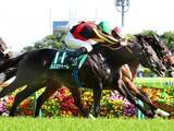 「【競馬予想】王者不在の安田記念　トレセンで評判の人気馬と穴馬候補「マイラーズＣの負け組が不気味」」の画像1