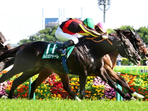 【競馬予想】王者不在の安田記念　トレセンで評判の人気馬と穴馬候補「マイラーズＣの負け組が不気味」