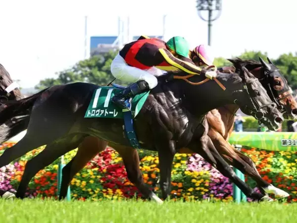 【競馬予想】王者不在の安田記念　トレセンで評判の人気馬と穴馬候補「マイラーズＣの負け組が不気味」