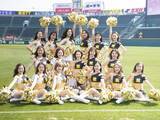 「阪神タイガース「TigersGirls」全員インタビュー「パフォーマンスで連覇をあと押しします！」」の画像1
