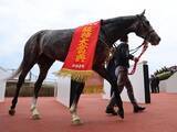 「【競馬予想】天皇賞・春で注目すべき血統は？　距離が長くなるほど成績がよくなる種牡馬をチェック」の画像1