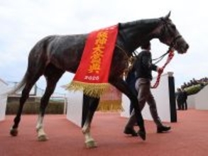 【競馬予想】天皇賞・春で注目すべき血統は？　距離が長くなるほど成績がよくなる種牡馬をチェック