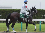 【競馬予想】「荒れる」チャンピオンズカップ　舞台合う実力馬２頭でビッグボーナスをゲットせよ