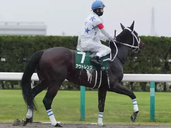 【競馬予想】「荒れる」チャンピオンズカップ　舞台合う実力馬２頭でビッグボーナスをゲットせよ