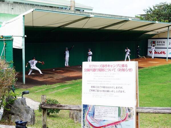 指揮官の出遅れ、主砲のコロナ感染、２年ぶりの有観客…日本一球団・ヤクルトキャンプのリアル