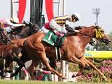 「【競馬予想】実力馬ぞろいのヴィクトリアマイルで抜け出すのは？　注目は人気薄から好走する「穴血統」」の画像1