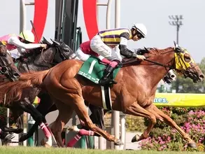 【競馬予想】実力馬ぞろいのヴィクトリアマイルで抜け出すのは？　注目は人気薄から好走する「穴血統」