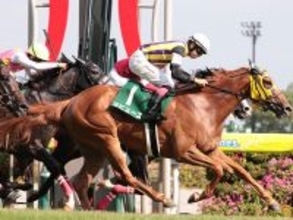 【競馬予想】実力馬ぞろいのヴィクトリアマイルで抜け出すのは？　注目は人気薄から好走する「穴血統」