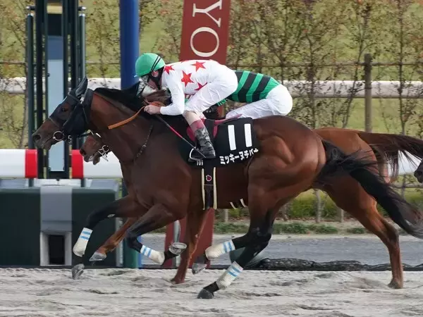 東海Ｓの注目は２頭の６歳馬 「京都ダート1800ｍ」でのレースを血統で分析