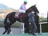「【競馬予想】高松宮記念がラストランとなるナムラクレア　「４度目の正直」を成すには何が必要か」の画像1