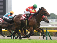 【競馬予想】高松宮記念で好成績を残している血統は？　今年最初の芝のＧⅠは人気薄の２頭に好走の気配