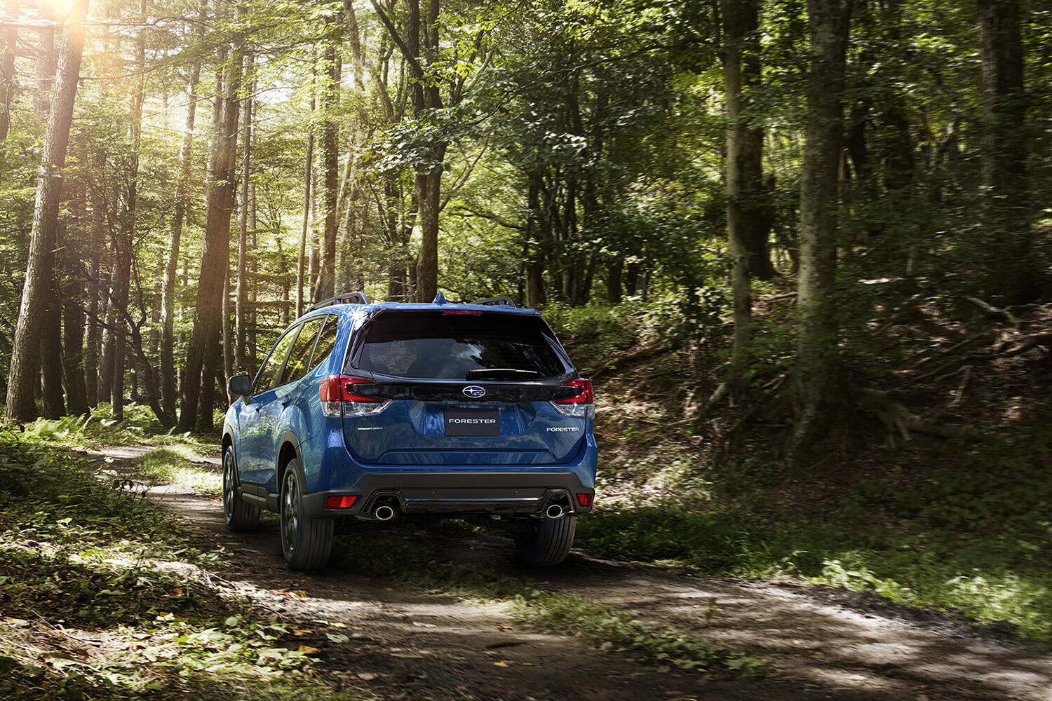 北米専用カラーだった「ガイザーブルー」を設定しアウトドア用装備もてんこ盛り！　スバルAWD50周年を記念した特別仕様車「XT-EDITION」をフォレスターに設定