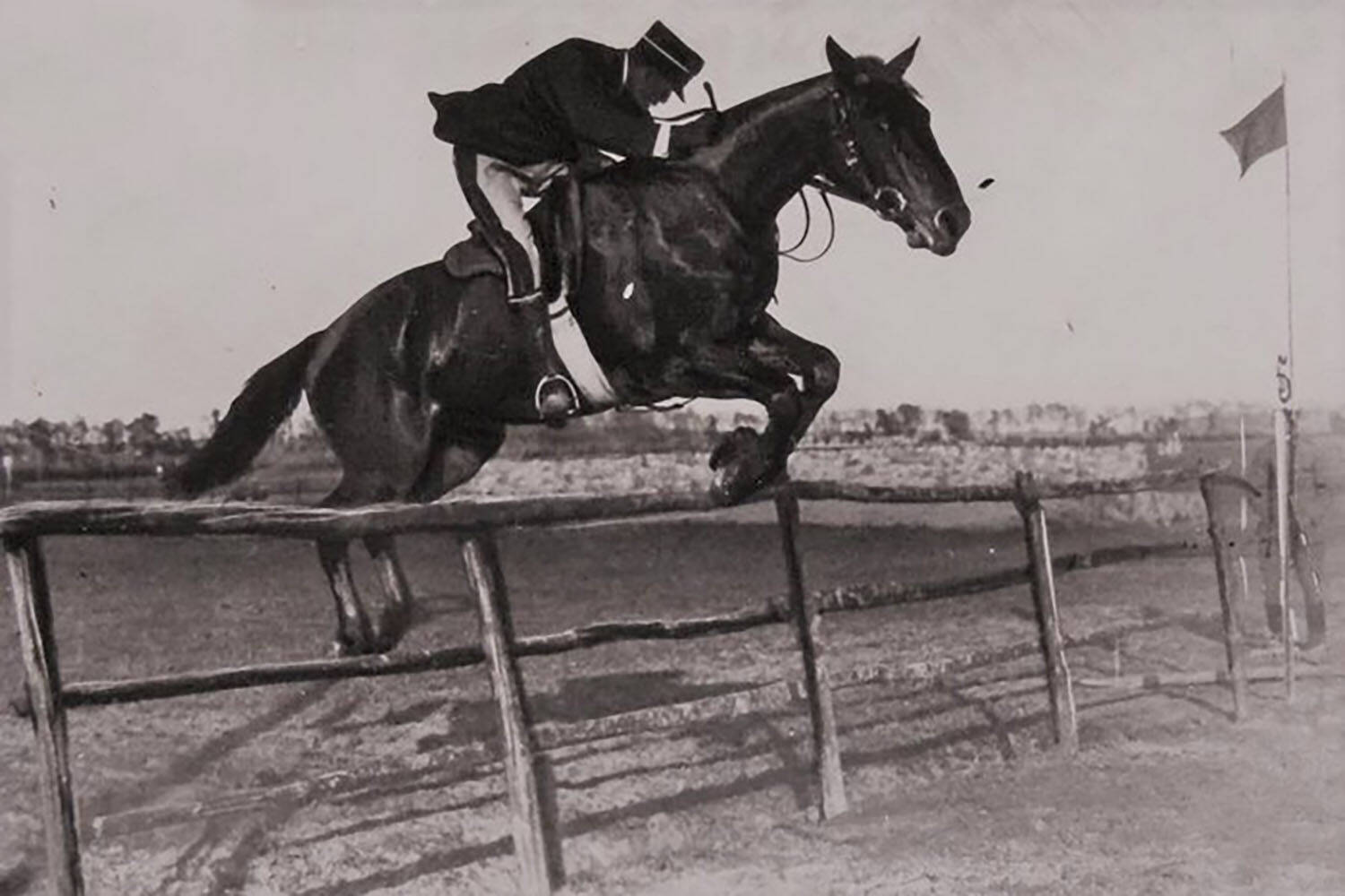 俗に言われるフェラーリの馬とポルシェの馬は「同じ馬」説が怪しい！　調べに調べてわかった「ほぼ確実」な事実とは