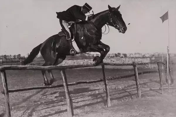 「俗に言われるフェラーリの馬とポルシェの馬は「同じ馬」説が怪しい！　調べに調べてわかった「ほぼ確実」な事実とは」の画像