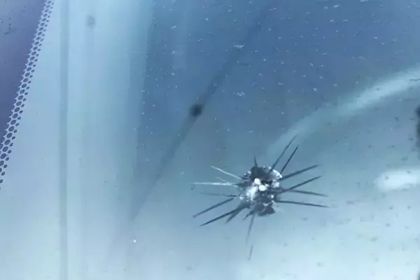 「「ガリッ！」やっちまった……のあとはどうする？　クルマには「放置してもいいキズ」「すぐに直すべきキズ」があった」の画像