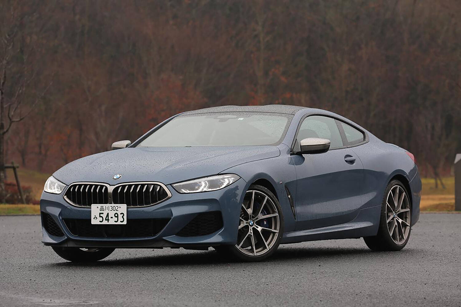 踏めばバカッ速なのになんだこの優雅さ！　大人の余裕を見せつけられる「ゆったりスポーツ」５台